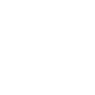 Mayadeen LinkedIn